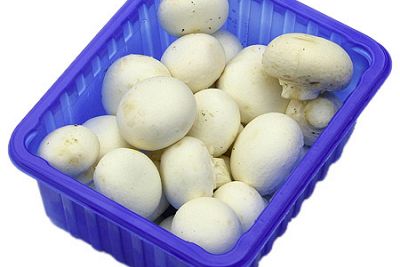 Pieczarka biała 20 - 40 mm
